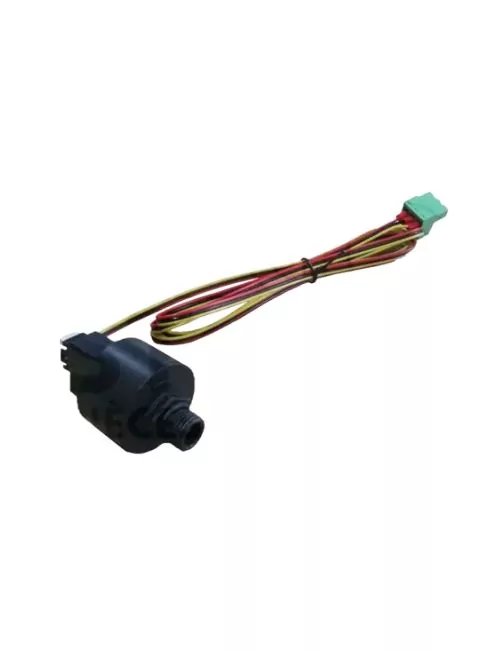 Capteur de pression Ecoforest 77500